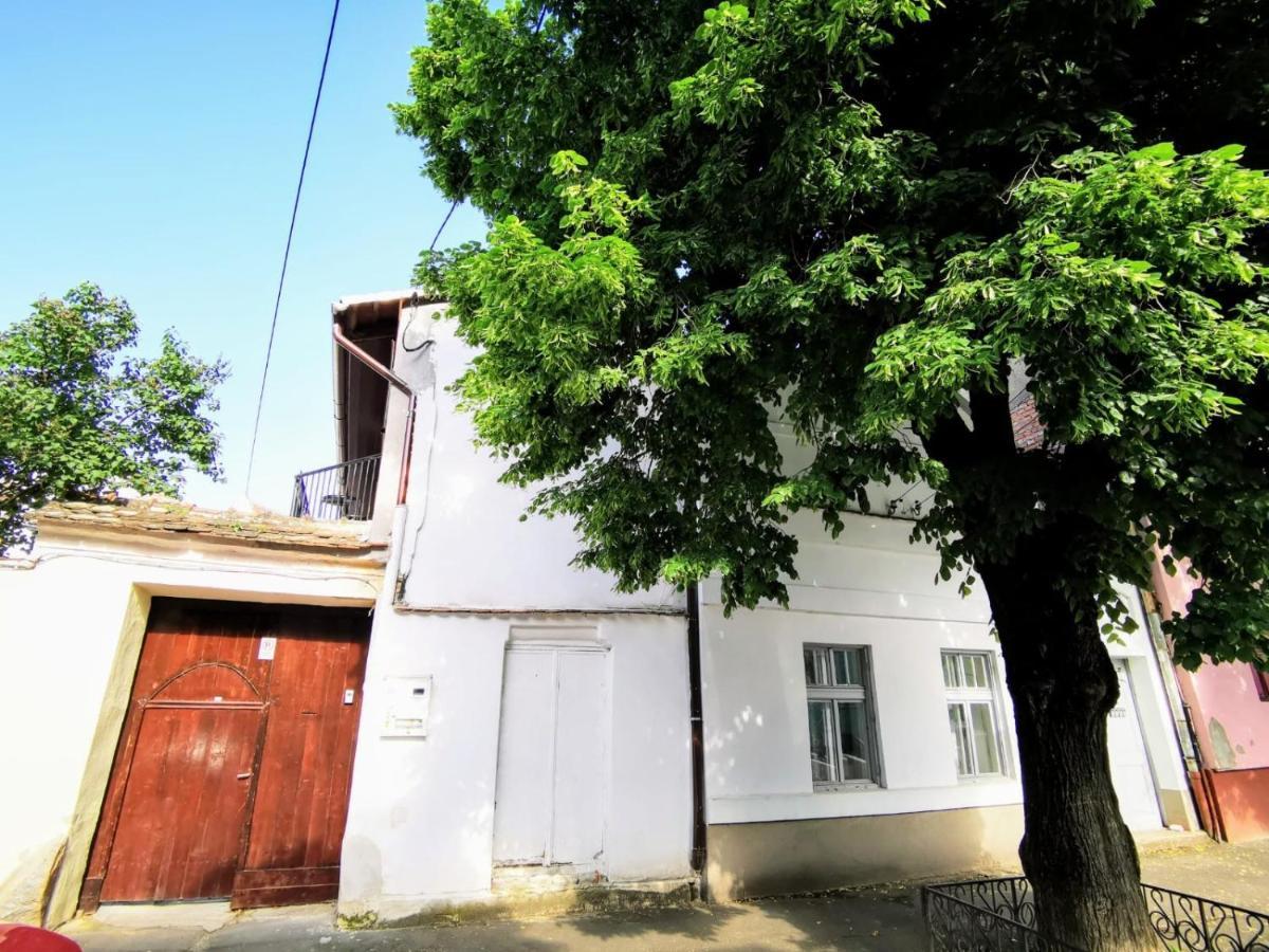 Studio Sibiu Dış mekan fotoğraf